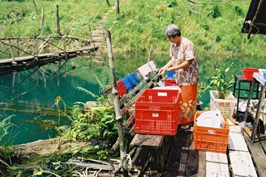 13 Thailand 2002 F1020014 Khao Lak Ausflug Khao Sok_478